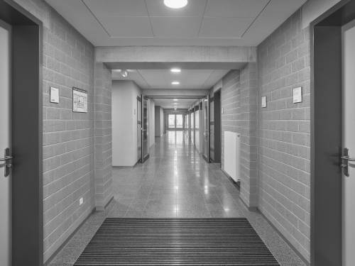 Photograph: Stefan Müller, Berlin